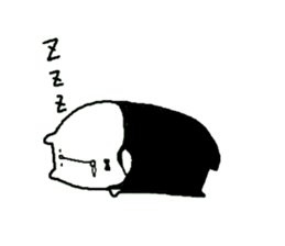 7550799