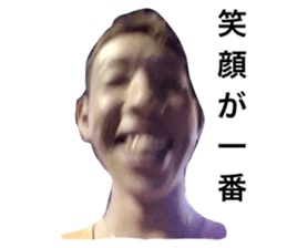 75537441