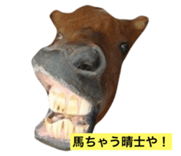 75537442