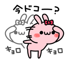 7556276
