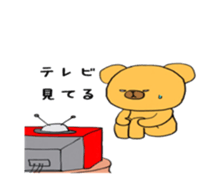 7556371