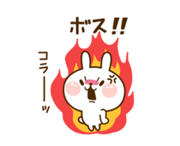 75578305