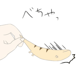 7559406