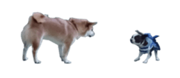 75607918