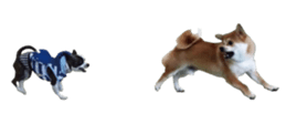 75607920