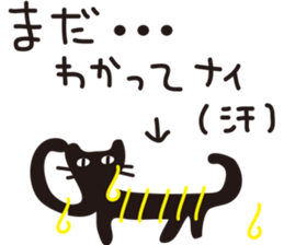 7562034