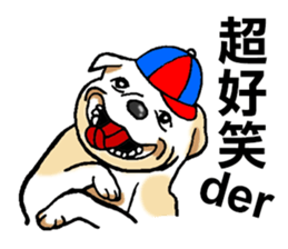7562337