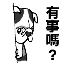 7562338