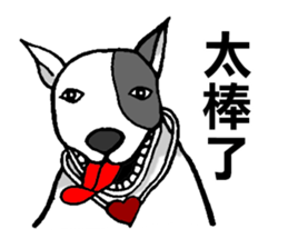 7562343