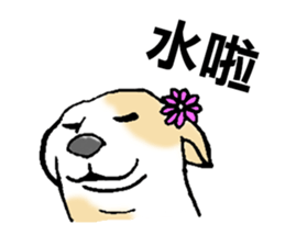 7562347