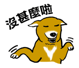 7562362