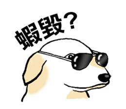 7562363