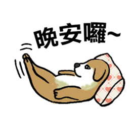 7562368
