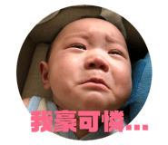 75630344