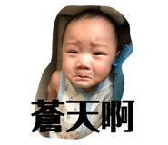 75630345