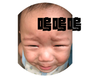 75630347