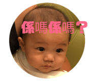 75630370