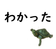 75647688