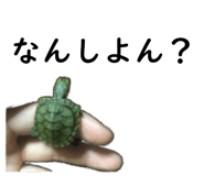 75647690