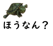 75647691