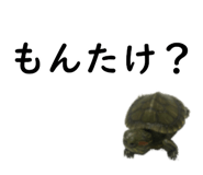 75647692