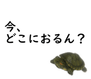 75647693