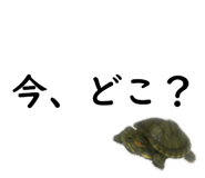 75647694