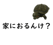 75647695