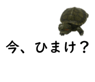 75647696