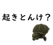 75647697