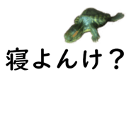 75647698