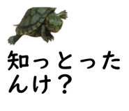 75647700