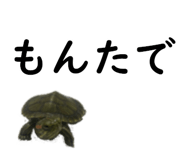 75647703