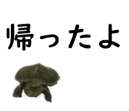 75647704