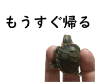 75647705