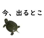 75647706