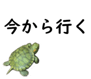 75647707