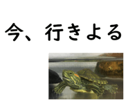 75647708