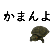 75647709