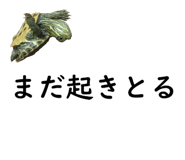 75647711