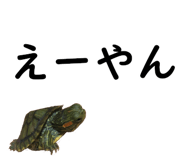 75647712