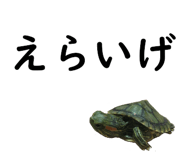 75647713