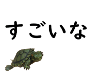 75647714