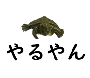 75647715