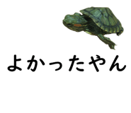 75647716