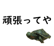 75647718