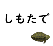 75647719