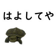 75647722