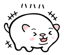 7565081