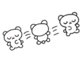75656903